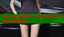糖心vlog资源大全一站式获取热门视频素材轻松创作